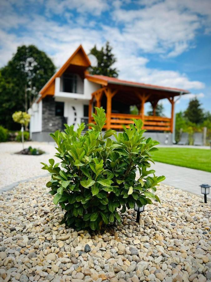 Evi Vendeghaz Dunakanyar Pilismarot